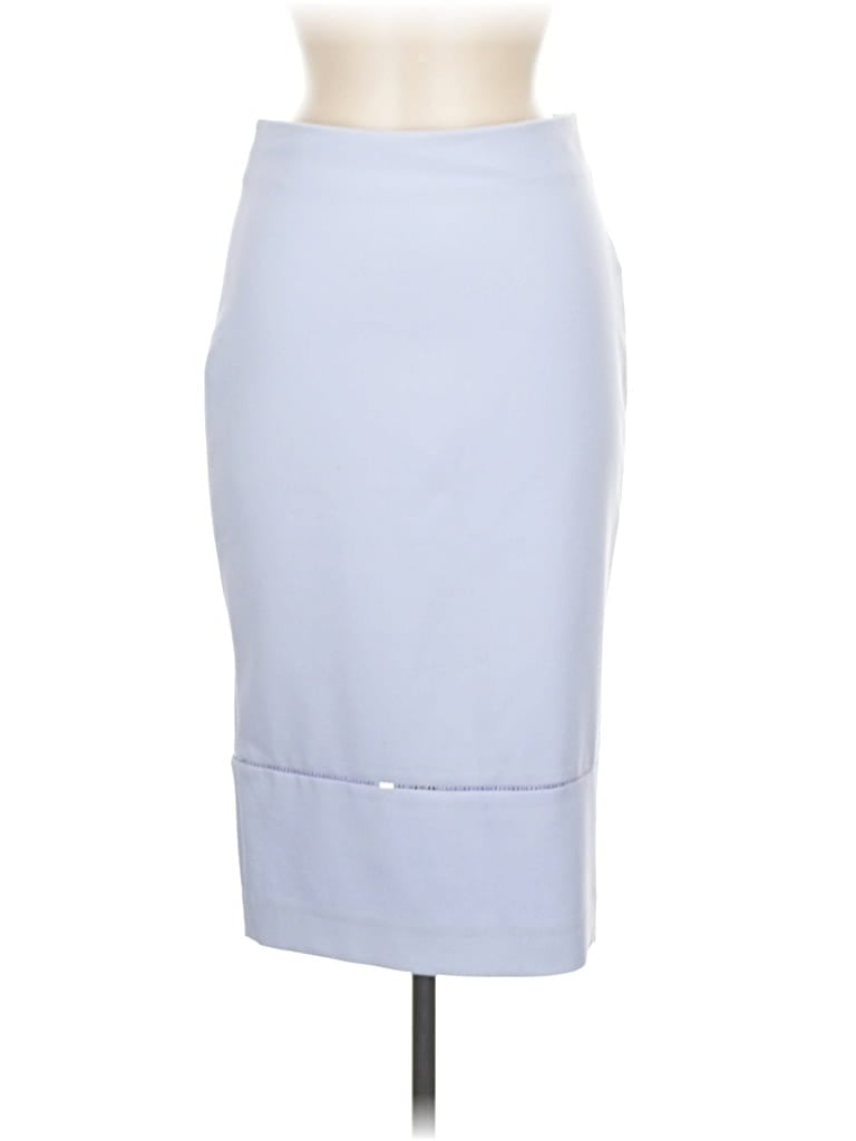 Pre-owned Elizabeth And James Casual Skirt In Blue