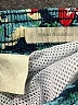 Assorted Brands Tropical Blue Board Shorts Size 6 - photo 3