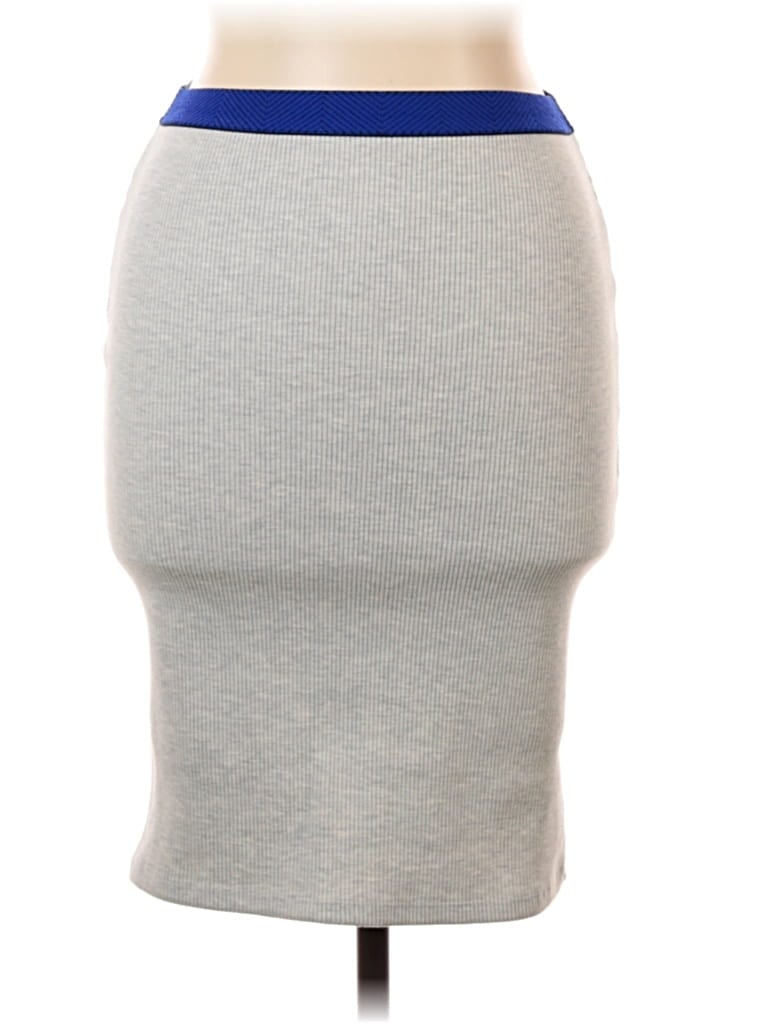 Pre-owned Trafaluc By Zara Casual Skirt In Gray