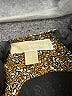 MICHAEL Michael Kors Paisley Brown Jumpsuit Size 4 - photo 3