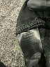Adrienne Vittadini Gray Dress Pants Size 8 - photo 5