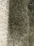 Kivari Ivory Cocktail Dress Size XS - photo 8