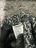 Vintage 1 Polka Dots Black Pullover Sweater Size XS - photo 8