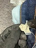 Madewell Hearts Blue Jeans Size 27 waist - photo 8