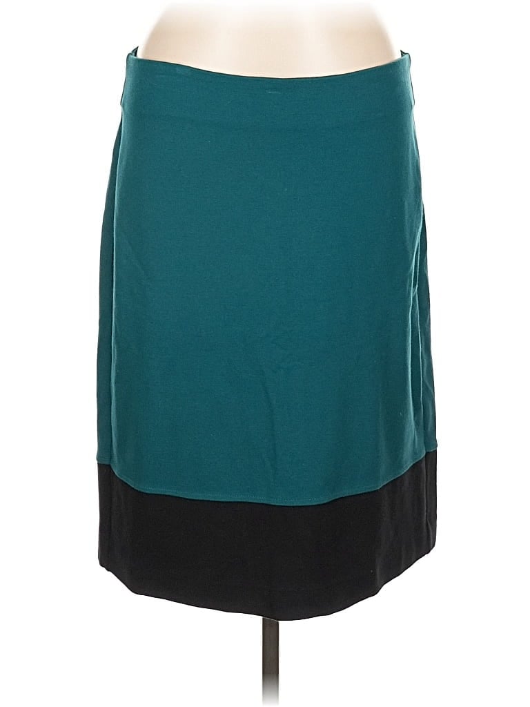 Pre-owned Talbots Outlet Casual Skirt In Blue