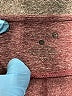 Scorpio Sol Burgundy Active Pants Size M - photo 7