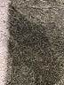 Universal Thread Solid Green Jumpsuit Size 12 (XS) - photo 3