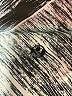Lululemon Athletica Graphic Silver Active Pants Size 2 - photo 7