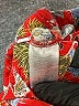 Ann Taylor LOFT Paisley Red Board Shorts Size S - photo 4