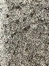 7 For All Mankind Animal Print Blue Jeans Size 24 waist - photo 6