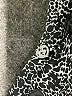 Lululemon Athletica Print Silver Black Active Pants Size 2 - photo 7