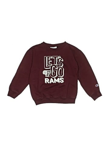 Champion Sweatshirt (view 1)