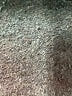 Nicole Miller New York Hearts Blue Jeans Size 4 - photo 8