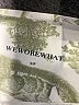 WeWoreWhat Print Ivory Active Pants Size S - photo 7