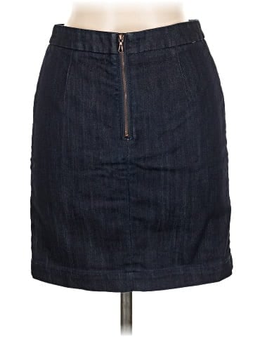 Leifsdottir Denim Skirt (view 2)