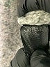 Sanctuary Metallic Gray Pullover Sweater Size S - photo 8