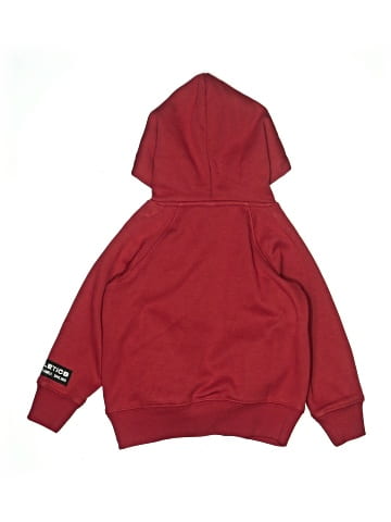Fab Kids Pullover Hoodie (view 2)