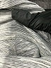 Lululemon Athletica Gray Active Pants Size 2 - photo 5