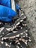 Tracy Reese 100% Polyester Black 3/4 Sleeve Blouse Size S - photo 5
