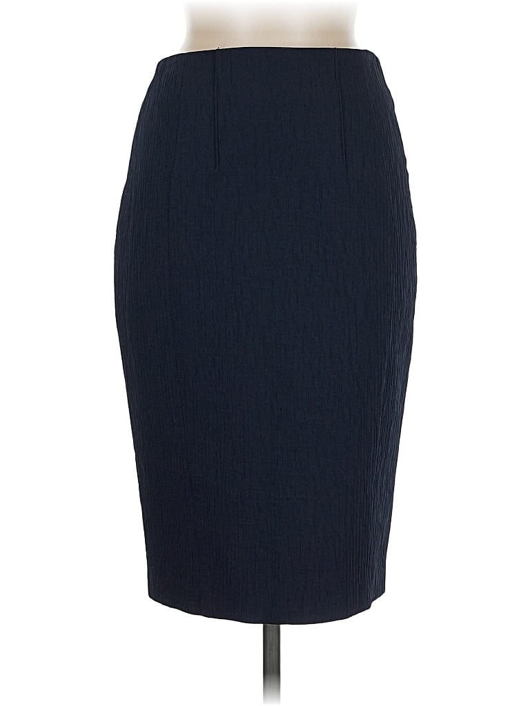 Pre-owned Iris Setlakwe Formal Skirt In Blue