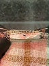 Zara Plaid Ivory Long Sleeve Button-Down Shirt Size M - photo 8