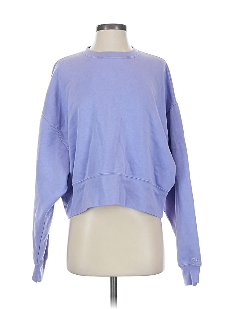 Pre-owned Dsg Sweatshirt In Blue