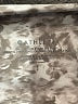Athleta Print Gray Active Pants Size S - photo 7