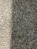 BB Dakota Solid Black Formal Skirt Size XS (estimated) - photo 5