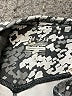 Nike Print Gray Active Pants Size S - photo 3