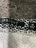 Insight Tweed Gray Casual Pants Size 10 - photo 7