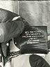 Terez Graphic Black Active Pants Size XS - photo 8