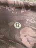 Lululemon Athletica Gray Active Pants Size 4 - photo 7