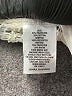 Maison Jules Ivory Short Sleeve T-Shirt Size XS - photo 9