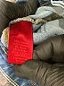 Jennifer Lopez Hearts Blue Jeans Size 10 - photo 5