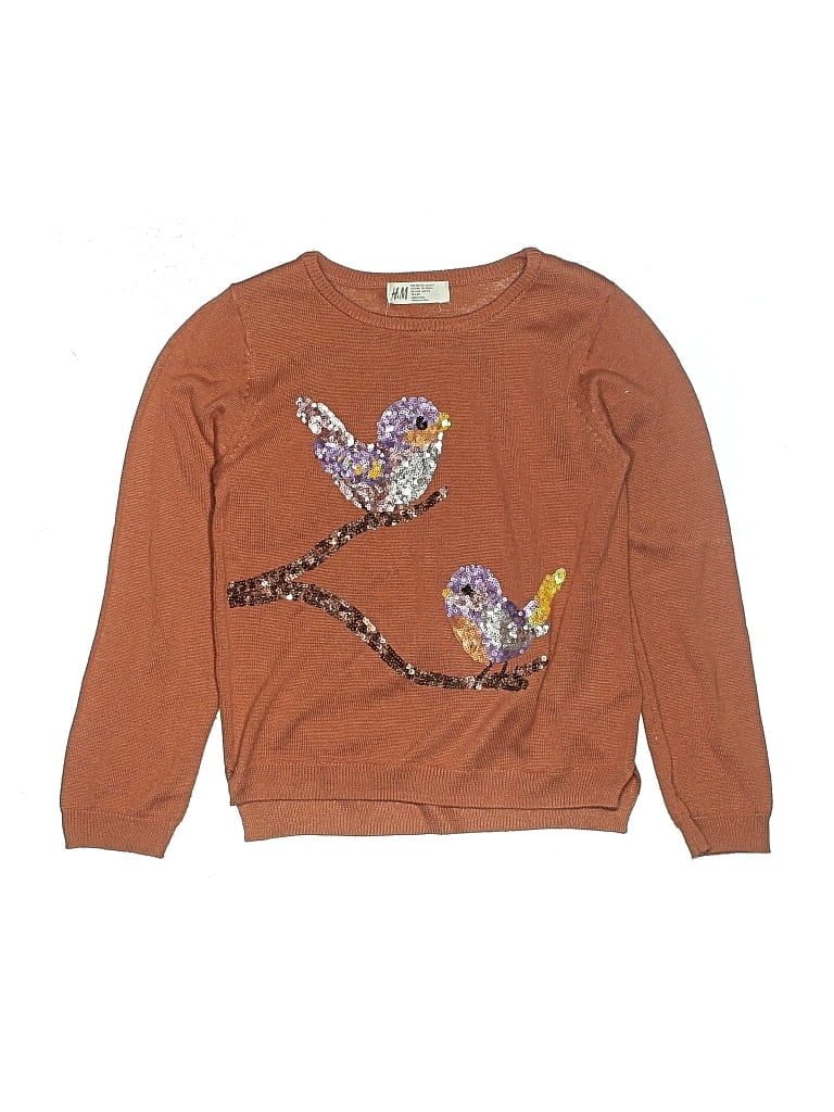 Pre-owned H&m Kids' Pullover Sweater In Brown