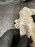 Nordstrom Solid Ivory Wool Pullover Sweater Size XXS - photo 8