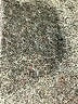 Zara Basic Gray Coat Size XS - photo 7