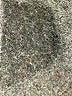 Zara Basic Gray Coat Size XS - photo 8