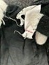 Amadi Black Casual Dress Size S - photo 8