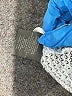 Vince Camuto 100% Polyester Blue Kimono Size 0X - photo 8