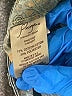 Paige Solid Blue Jeans Size 30 waist - photo 8