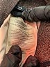 The Upside Brown Active Pants Size XS - photo 8