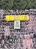 Urban Outfitters 100% Polyester Paisley Pink Skort Size XS - photo 3