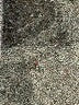 Worth Gray Cardigan Size S - photo 9
