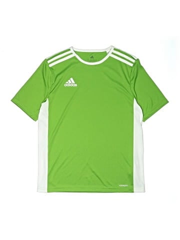 Adidas Active T-Shirt (view 1)