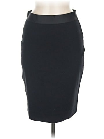 Everlane Formal Skirt (view 1)