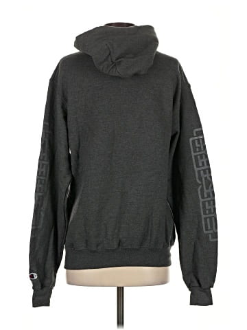 Champion Pullover Hoodie (view 2)