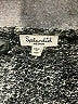 Splendid Metallic Gray Pullover Sweater Size M - photo 7