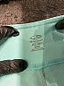 C9 By Champion Teal Active Pants Size M - photo 7