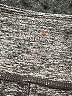 Tangerine Gray Active Pants Size S - photo 3